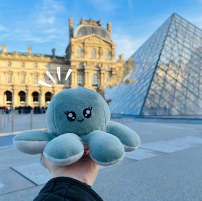 Peluche pieuvre réversible émotions joie tristesse
