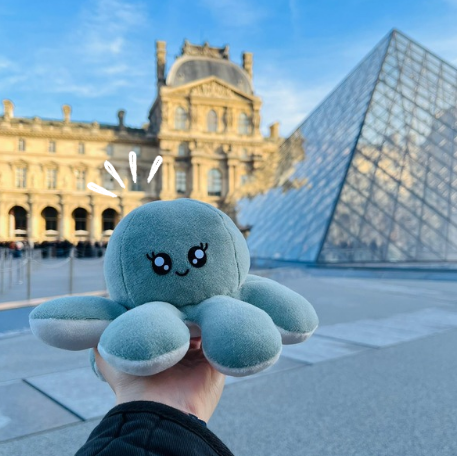 Peluche pieuvre réversible émotions joie tristesse