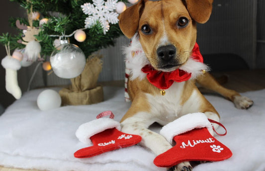 Petites bottes de Noël personnalisées prénom - Fait main